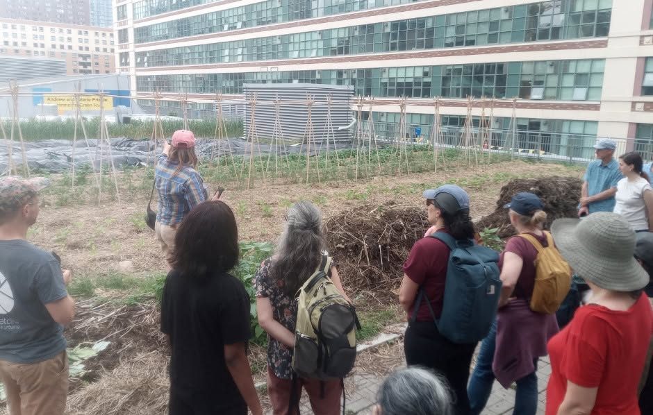 Visite de la ferme de TMU le 11 juin (Crédit : UOF)